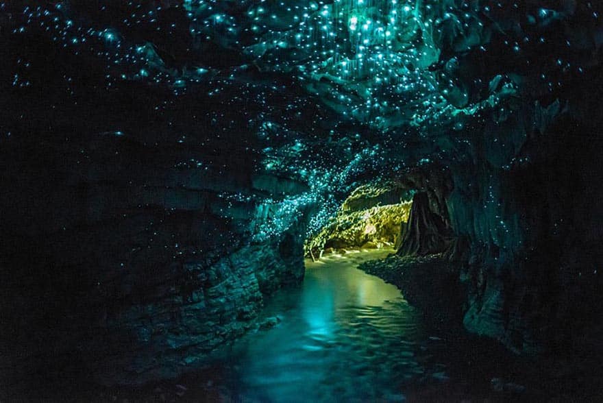 Glühwürmchen Höhle, Neuseeland