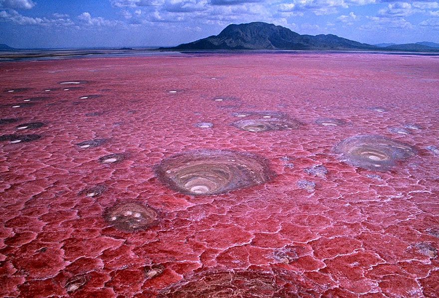 Natron See, Tansania