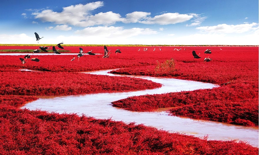 Roter Strand, Panjin, China