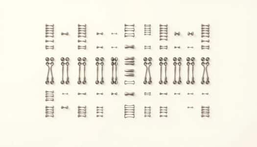 wie viele chromosomen hat ein mensch