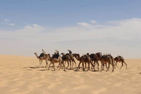 Unterwegs in Ägypten – wenn alte Pfade auf neue Verbindungen treffen