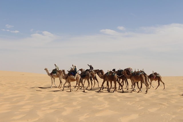 Unterwegs in Ägypten – wenn alte Pfade auf neue Verbindungen treffen